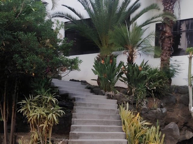 Lee más sobre el artículo Casa A.19 Pedregal de las Fuentes.